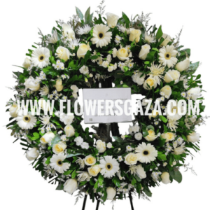 CORONA-PICARONA-ESPECIAL-SALMA