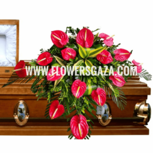 MANTO PREMIUM *VUELA ALTO*